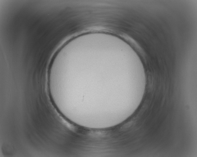 X0000081391286200702090028