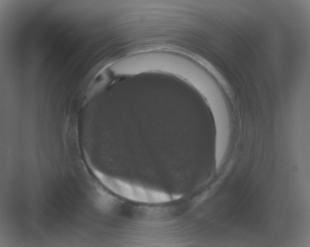 X0000081391289200702090028