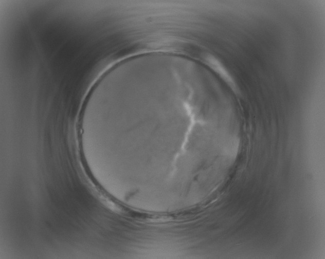 X0000081391291200702090028