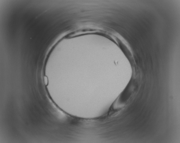 X0000081391293200702090028