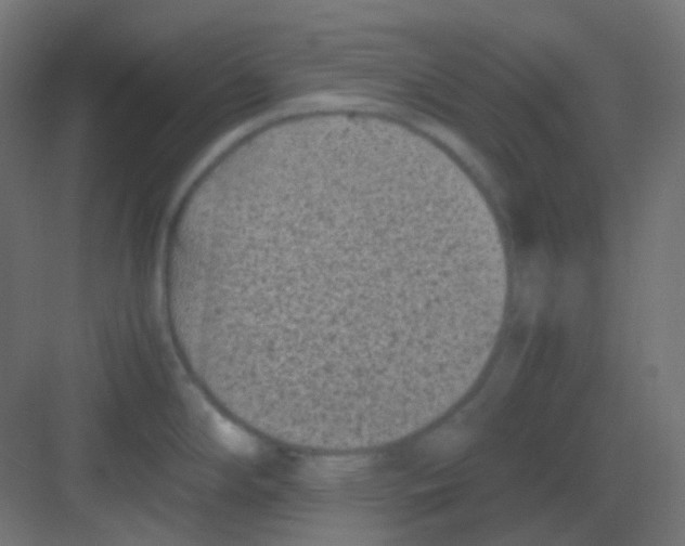 X0000081391294200702090028