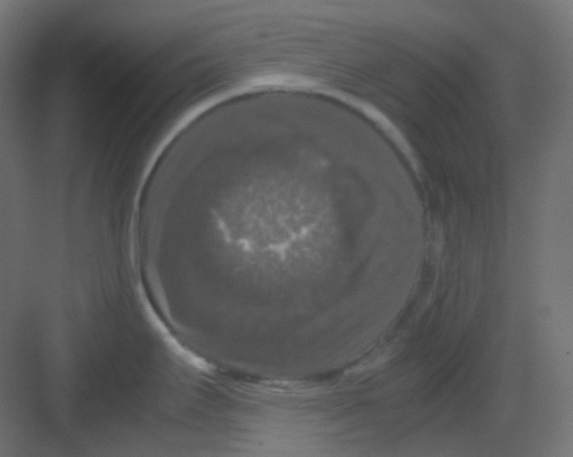 X0000081391295200702090028