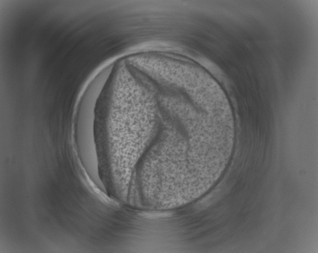 X0000081391296200702090028