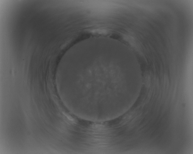 X0000081391297200702090027