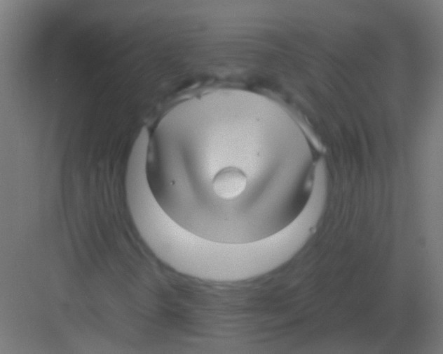 X0000081391298200702090027