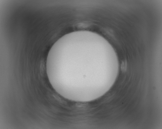 X0000081391299200702090027