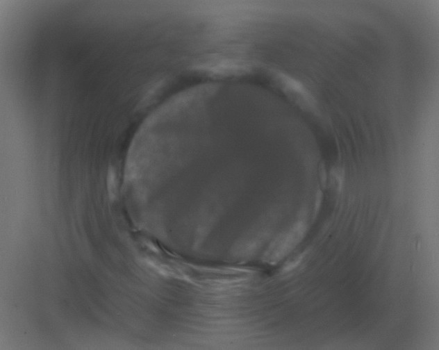 X0000081391300200702090027