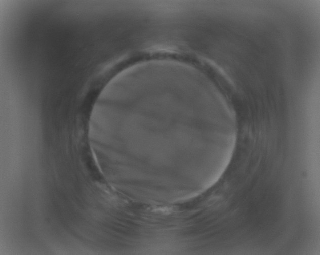 X0000081391303200702090027