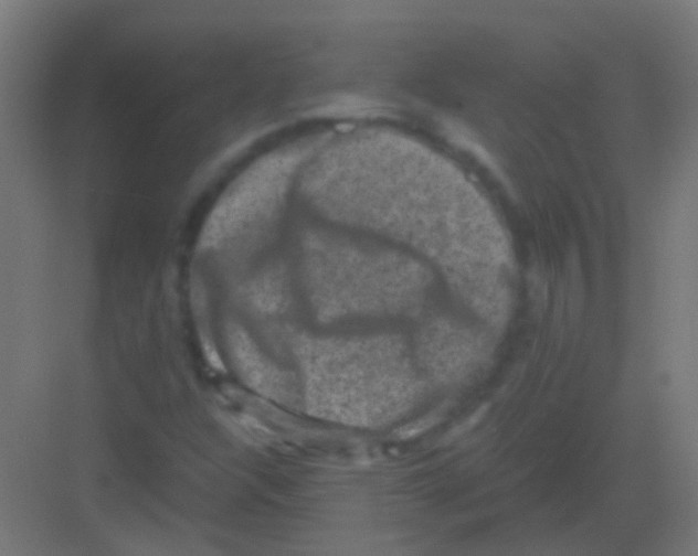 X0000081391304200702090027