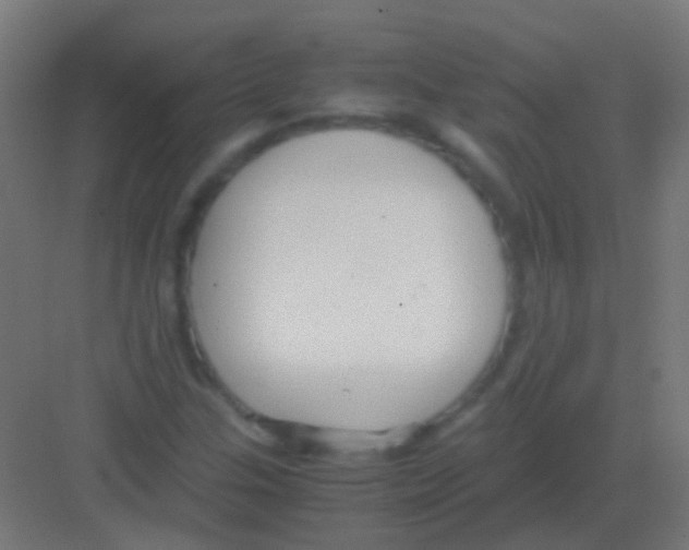 X0000081391307200702090027