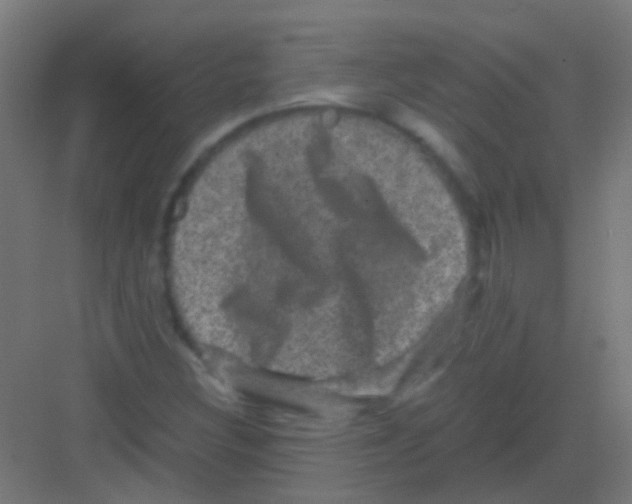 X0000081391308200702090027