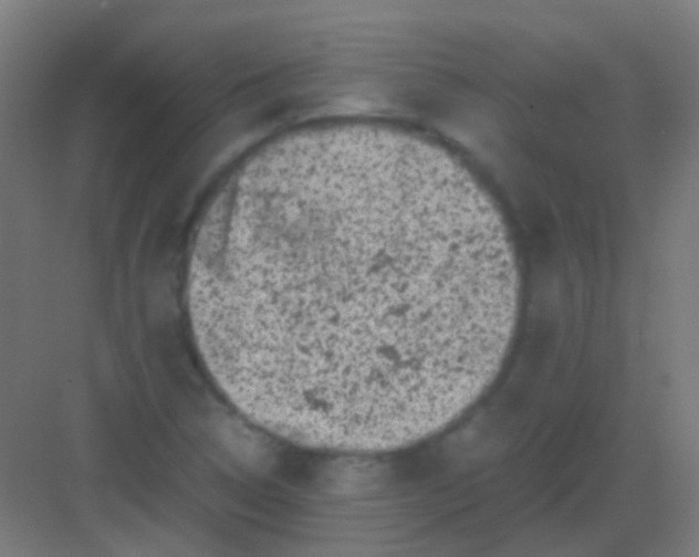 X0000081391314200702090027