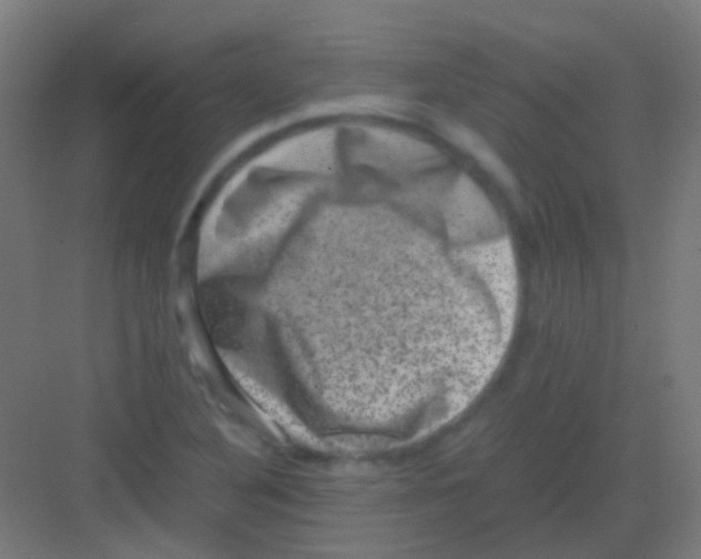 X0000081391316200702090027