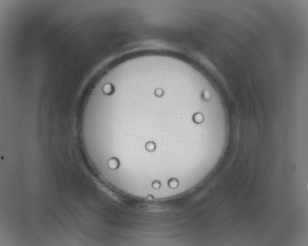 X0000081391318200702090028