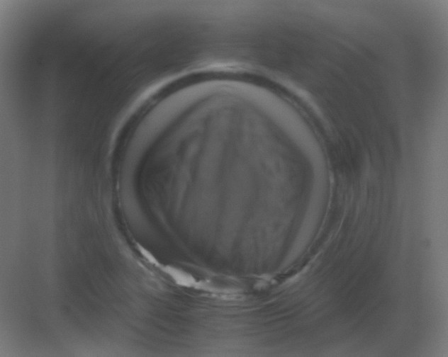 X0000081391319200702090028