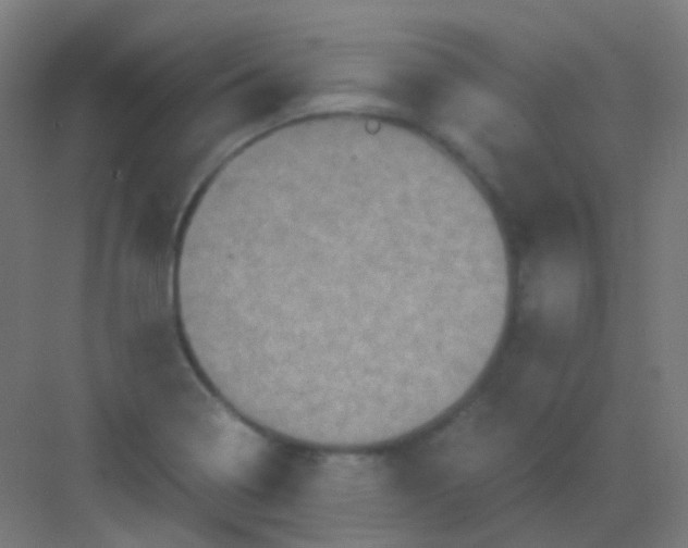 X0000081391322200702090028