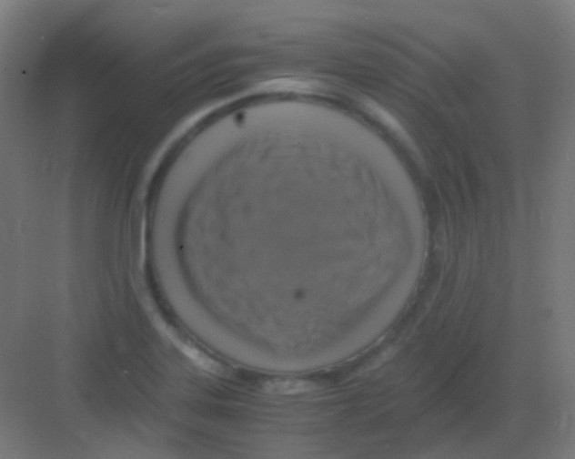 X0000081391323200702090028