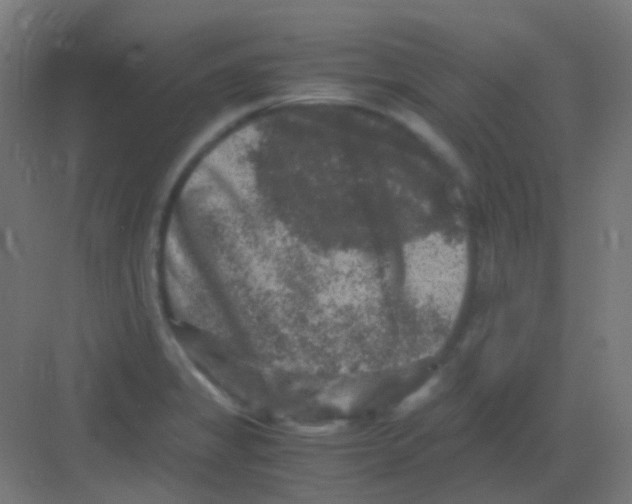 X0000081391325200702090028