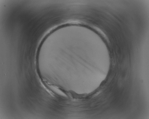 X0000081391327200702090028