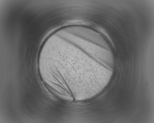 X0000081391328200702090028