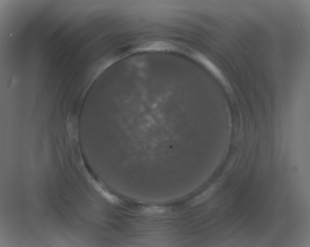 X0000081391329200702090028