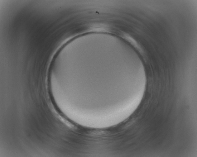 X0000081391331200702090028