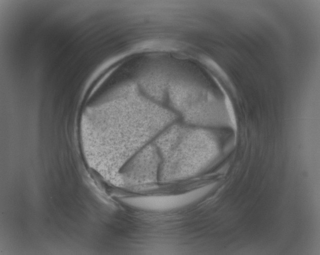 X0000081391336200702090028