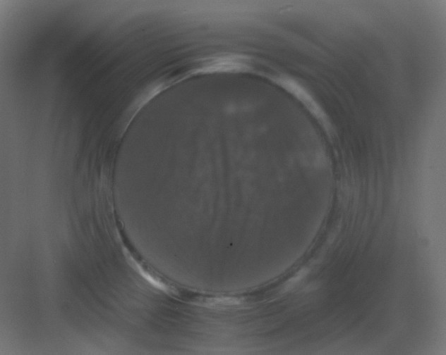 X0000081391337200702090028