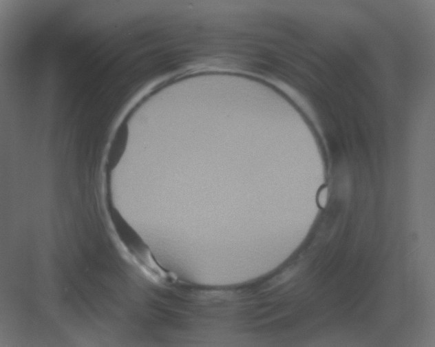 X0000081391341200702090028