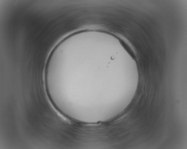 X0000081391343200702090028