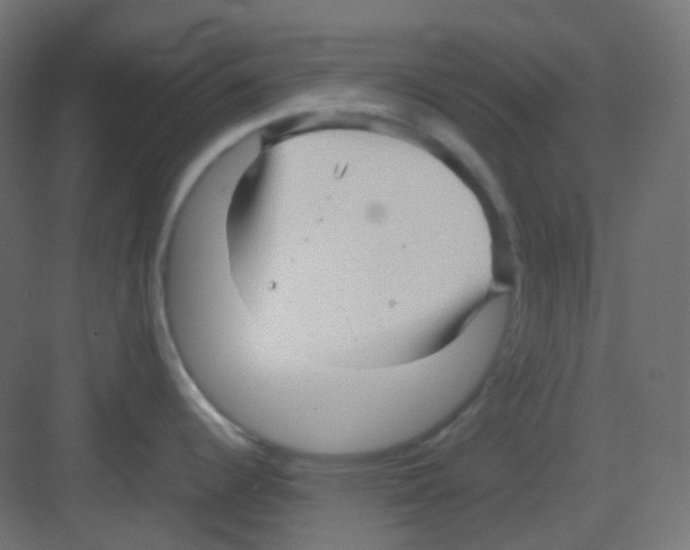 X0000081391344200702090028