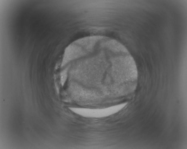 X0000081391345200702090027