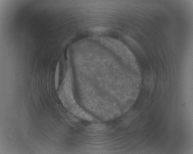 X0000081391346200702090027