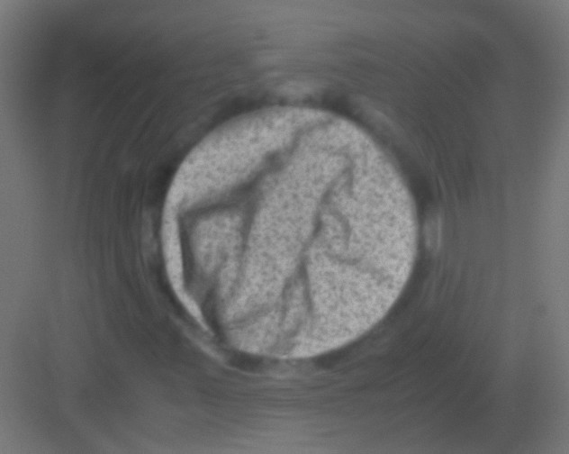 X0000081391347200702090027