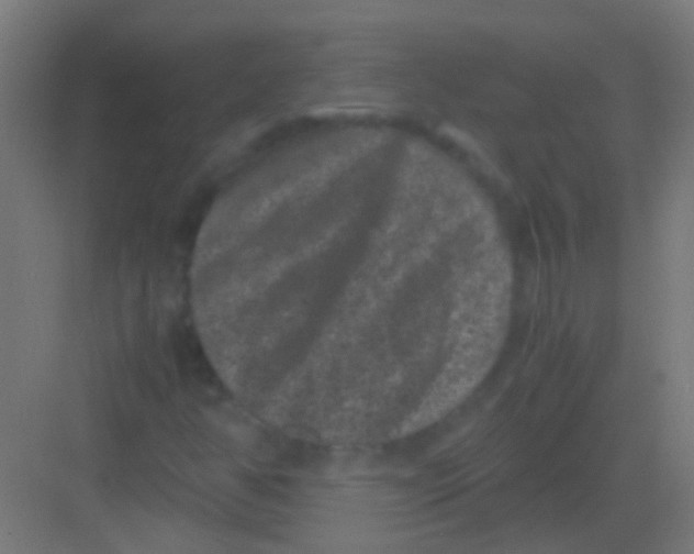 X0000081391350200702090027