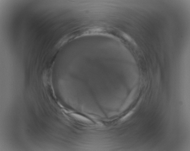 X0000081391353200702090027