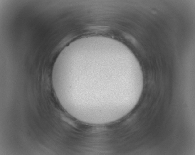 X0000081391354200702090027