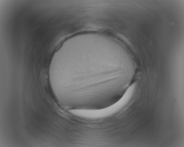 X0000081391355200702090027