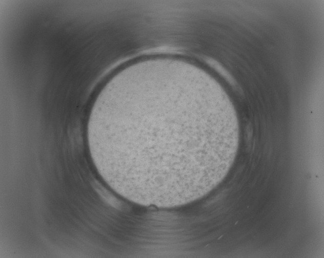 X0000081391356200702090027