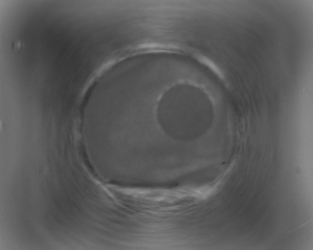 X0000081391357200702090027