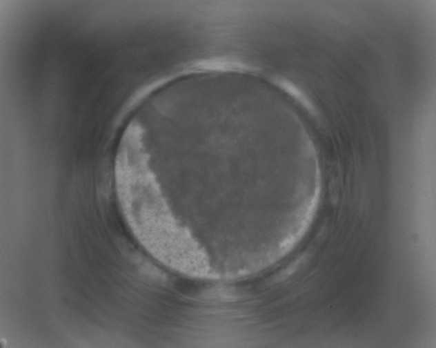 X0000081391358200702090027