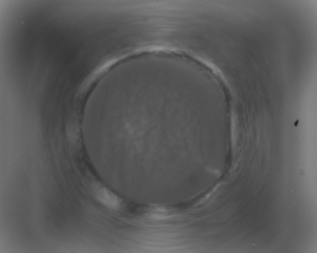 X0000081391359200702090027