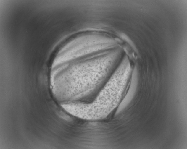 X0000081391360200702090027