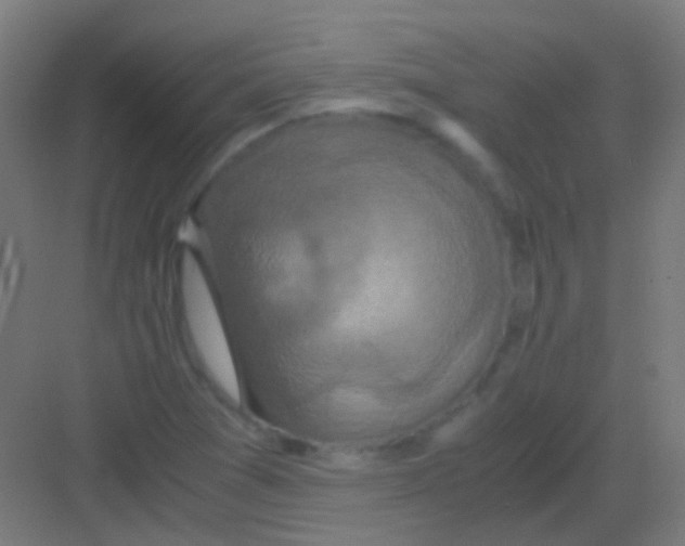 X0000081391361200702090027