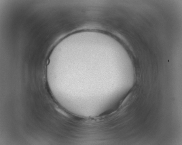 X0000081391366200702090027