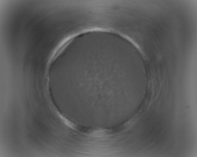 X0000081391367200702090027