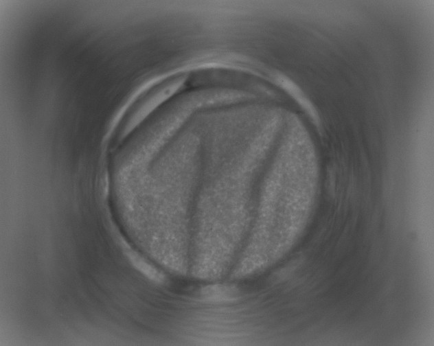 X0000081391368200702090027