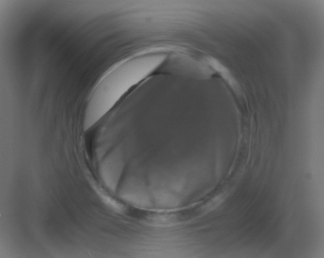 X0000081391369200702090027