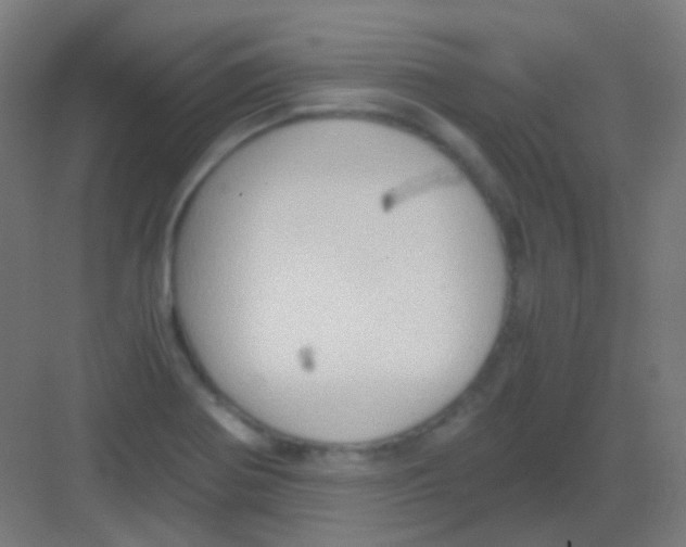 X0000081391370200702090027