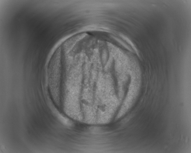 X0000081391371200702090027